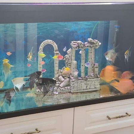 Apartamenti8 Korca Luaran gambar