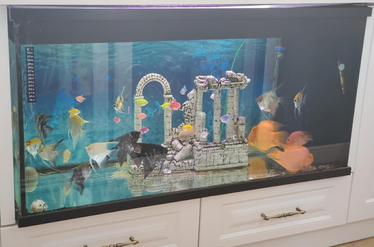 Apartamenti8 Korca Luaran gambar